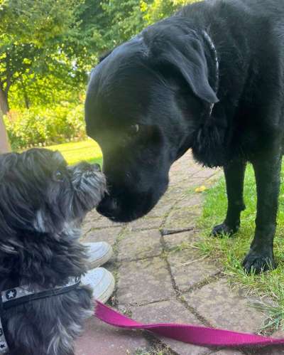 Foto Challenge Nr.: 115-Beitrag-Bild