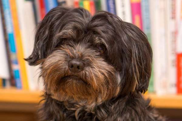 Lieblingsbild-Beitrag-Bild