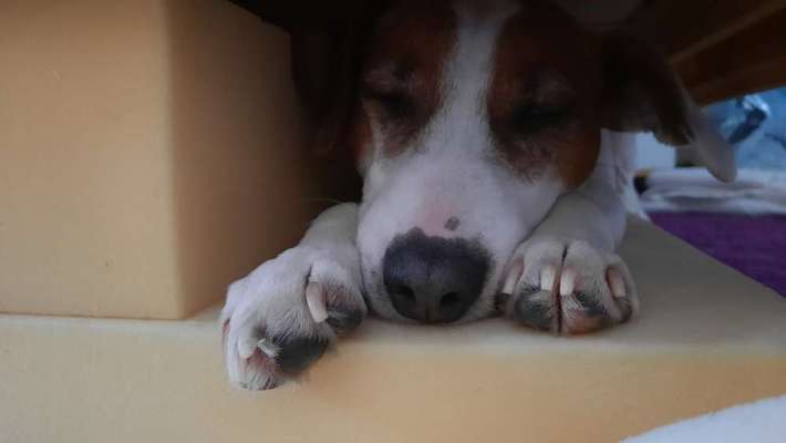 Die unbequemsten und lustigsten Schlafpositionen-Beitrag-Bild