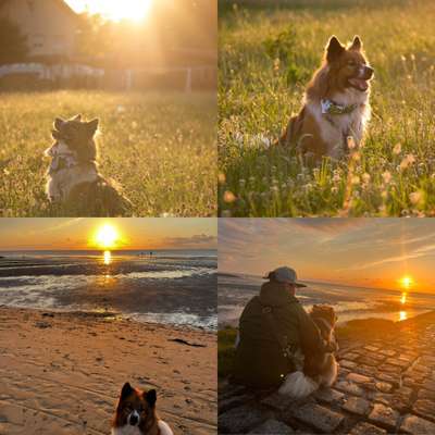 14. Collagen Challenge- Sonnenaufgang & -Untergang-Beitrag-Bild