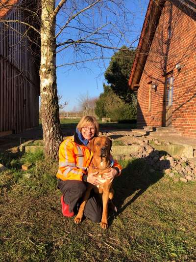 Hundetreffen-Spaziergang-Bild