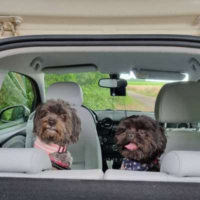 117. Fotochallenge-Beitrag-Bild