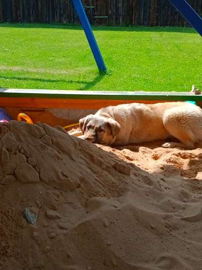 Fotochallenge 129-Beitrag-Bild