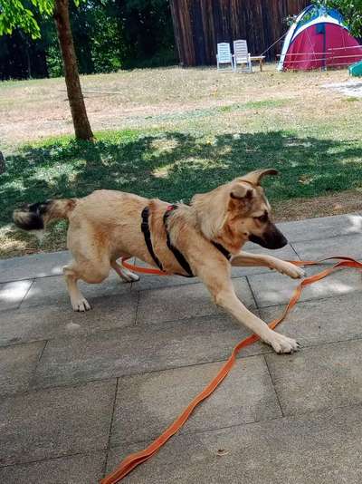 "Die eingefangene Magie des Augenblicks"-Beitrag-Bild