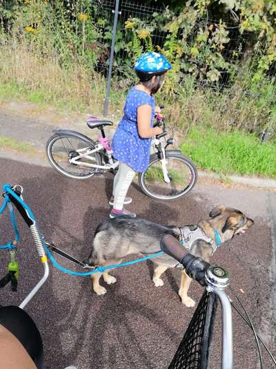 Die Dogorama Wochen Challenge-Beitrag-Bild