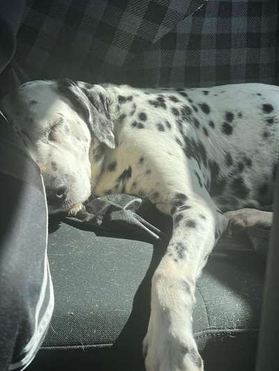 14. Farbenfoto-Challenge "Weiss"-Beitrag-Bild