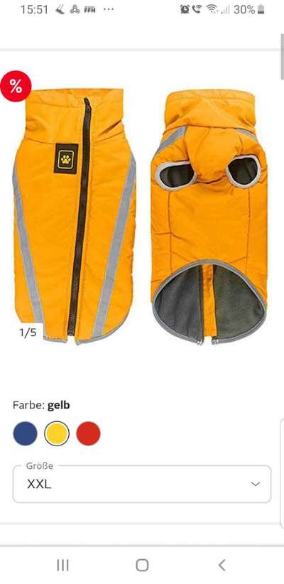 Hundekleidung - Top oder Flop-Beitrag-Bild