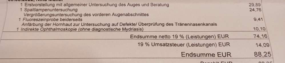 Graue Flecken auf der Hornhaut und Juckreiz sowie Fellverlust an den Ohren beim Labrador.-Beitrag-Bild