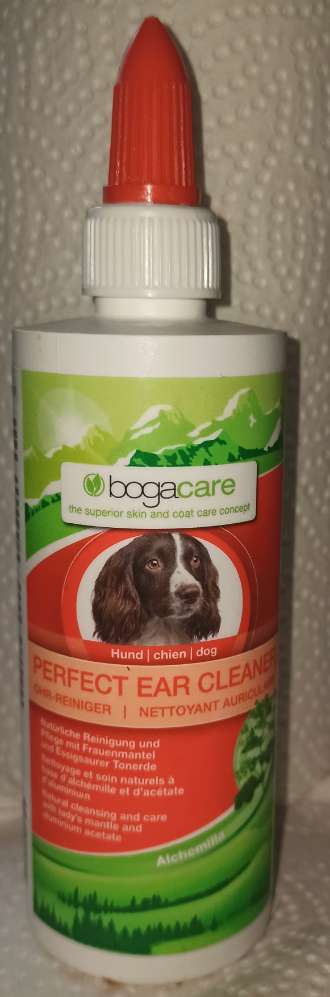 Ohrenentzündung-Beitrag-Bild