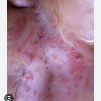 Was kann das sein-Beitrag-Bild