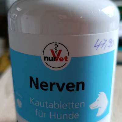 Mein Hund wurde vom nicht angeleinten Hund angegriffen-Beitrag-Bild