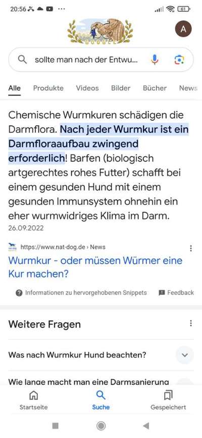 Durchfall nach Wurmkur-Beitrag-Bild