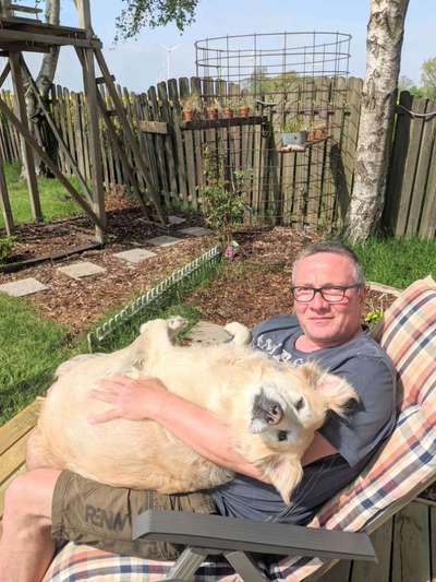 Lustige Bilder-Beitrag-Bild