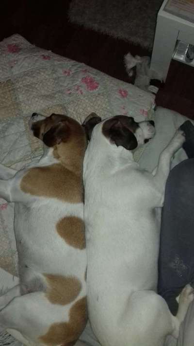 Foto Challange Nr.80-Beitrag-Bild