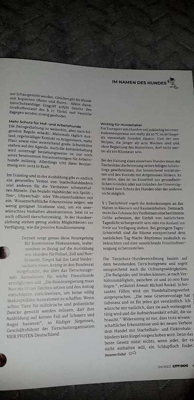 Antibell Halsband-Beitrag-Bild