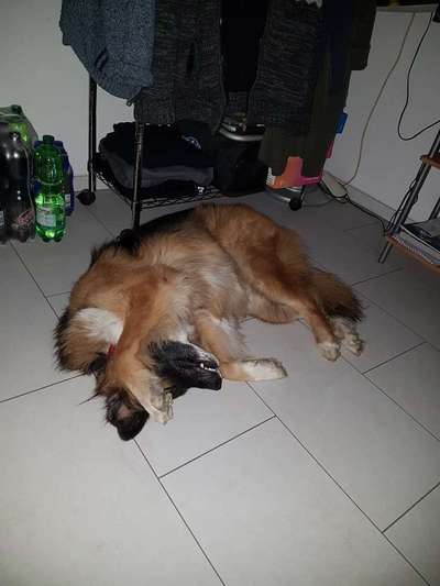 Die unbequemsten und lustigsten Schlafpositionen-Beitrag-Bild