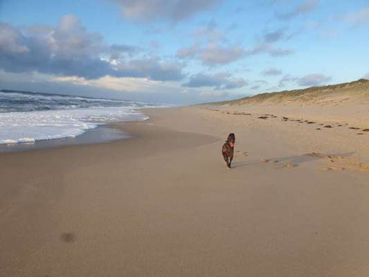 Was hat euch heute genervt?-Beitrag-Bild