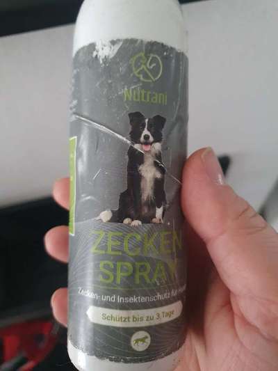 Zeckenmittel mit Baby/Kleinkind im Haushalt-Beitrag-Bild