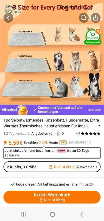 Hundesachen von Temu-Beitrag-Bild
