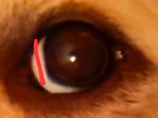 Eckige Augen-Beitrag-Bild