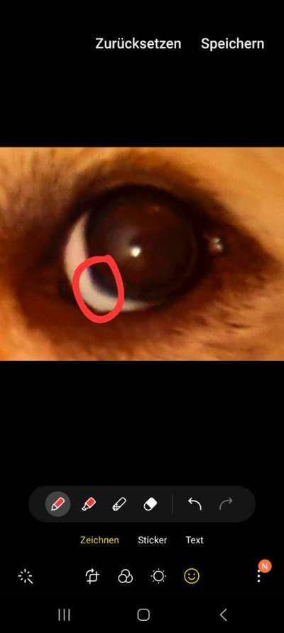 Eckige Augen-Beitrag-Bild