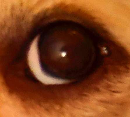 Eckige Augen-Beitrag-Bild