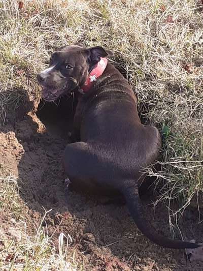 "Die eingefangene Magie des Augenblicks"-Beitrag-Bild