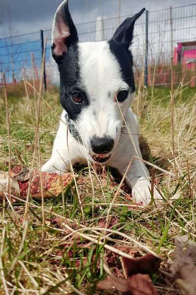 "Die eingefangene Magie des Augenblicks"-Beitrag-Bild