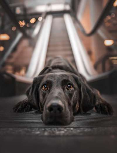 Lieblingsbild-Beitrag-Bild