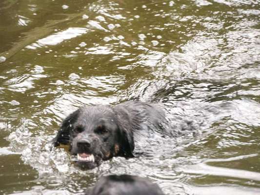 Her mit dem Grimassen-Beitrag-Bild