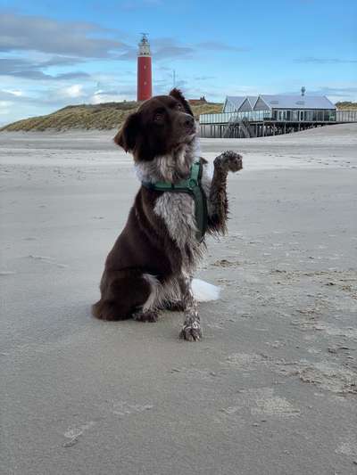 25. Handy Foto Challenge-Beitrag-Bild