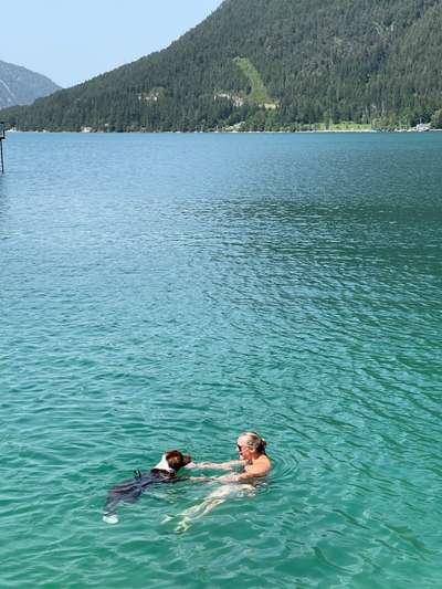 Schwimmweste für den Hund-Beitrag-Bild