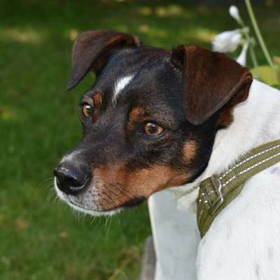 Zeigt eure Portraits-Beitrag-Bild