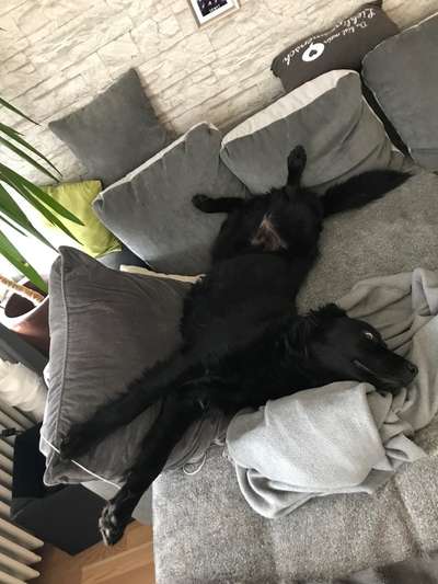 LUSTIGE FOTOS! WER KANN MITHALTEN?-Beitrag-Bild