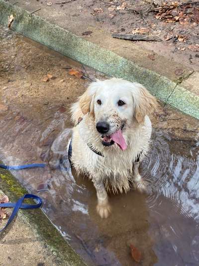 FOTO CHALLENGE Thema ,,durchdrehen"-Beitrag-Bild