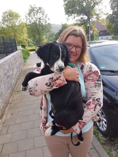 Das erste Foto-Beitrag-Bild