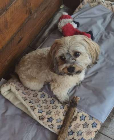 Doppelgänger gesucht !-Beitrag-Bild