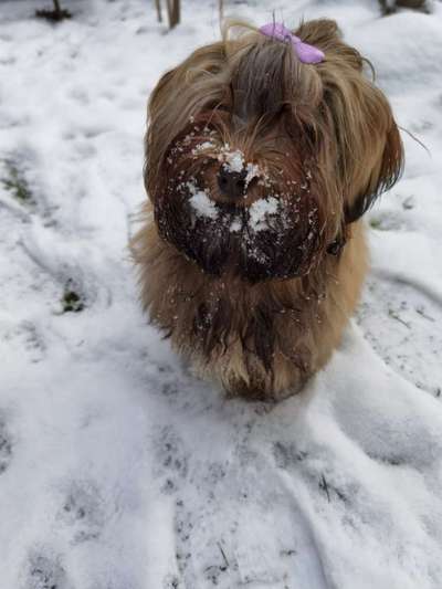 Der erste Schnee, zeigt uns eure tollen Schneemomente-Beitrag-Bild