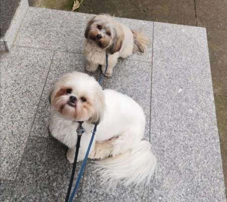 Das beste grinsefoto-Beitrag-Bild