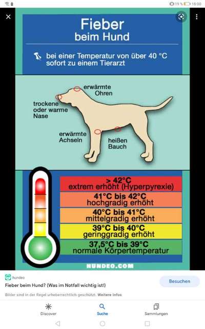 Fieber messen mit Fieberthermometer - Medical Training-Beitrag-Bild