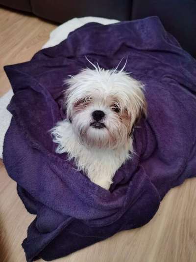 Foto Challenge 82-Beitrag-Bild