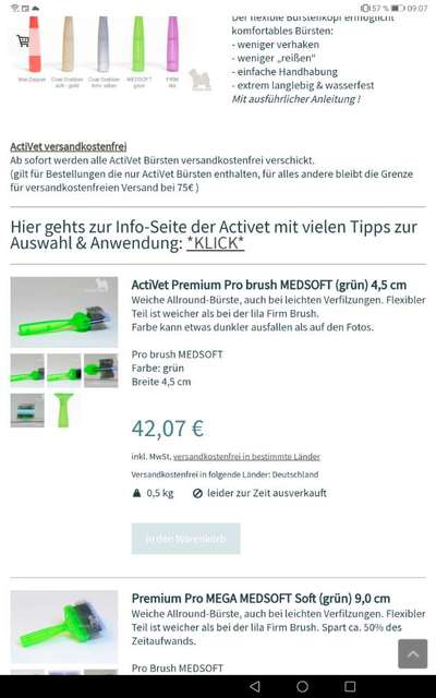 Havaneser dabei?:)-Beitrag-Bild