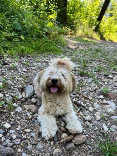 Doppelgänger gesucht !-Beitrag-Bild