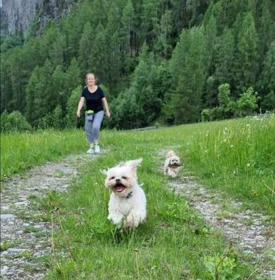 Das beste grinsefoto-Beitrag-Bild