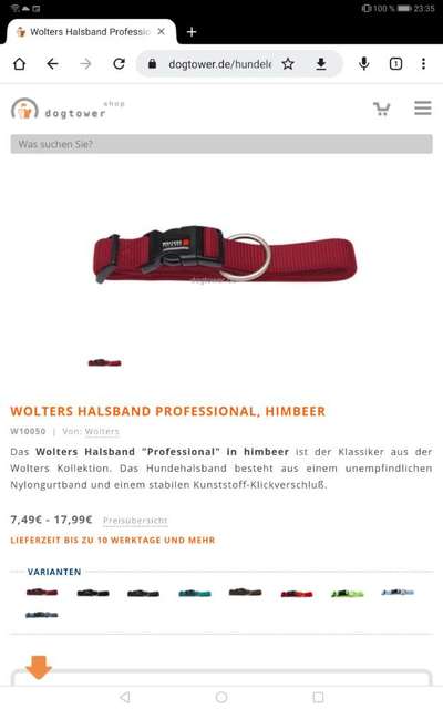 Havaneser dabei?:)-Beitrag-Bild