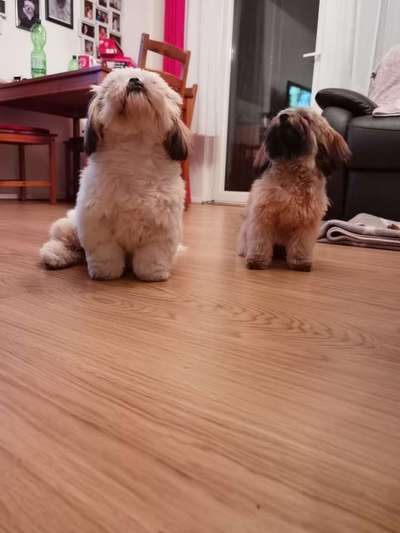 Foto-Challange No.1 - Alles aber nicht die Kamera-Beitrag-Bild