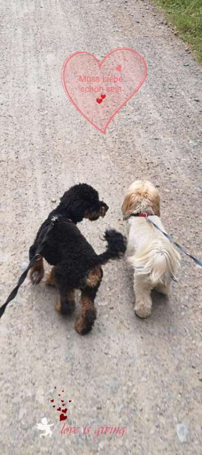 Moviestar-Pics!-Beitrag-Bild