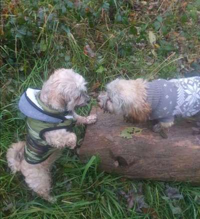 Doppelgänger gesucht !-Beitrag-Bild