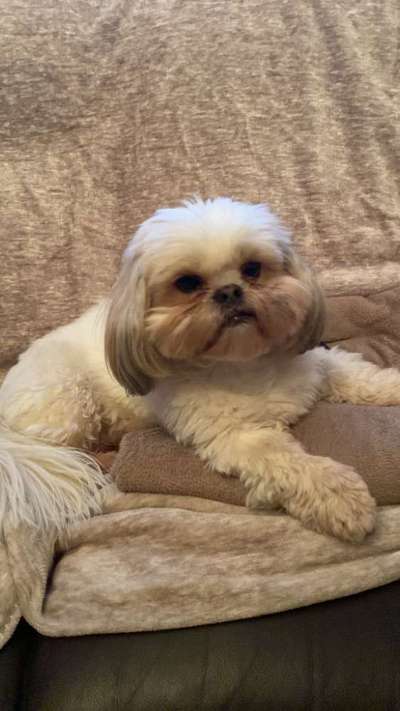 Doppelgänger gesucht !-Beitrag-Bild