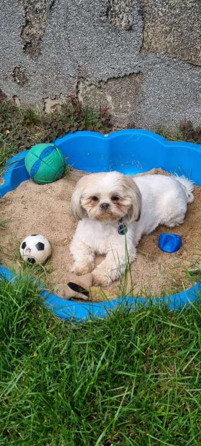 Buddeln im Sandkasten-Beitrag-Bild